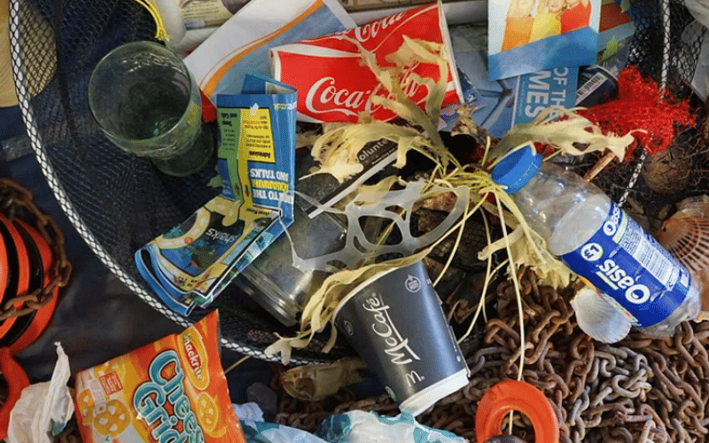 Food labels market to hit USD 116-billion